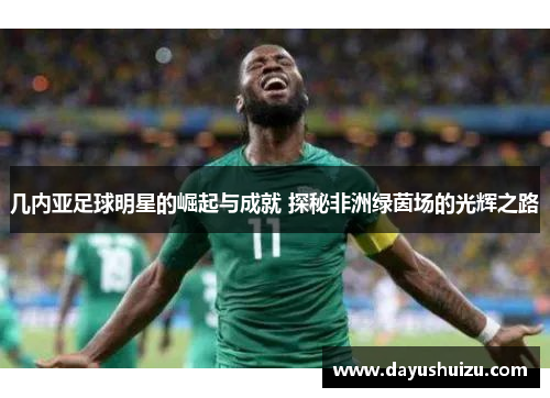 几内亚足球明星的崛起与成就 探秘非洲绿茵场的光辉之路
