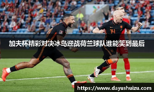 加夫杯精彩对决冰岛迎战荷兰球队谁能笑到最后