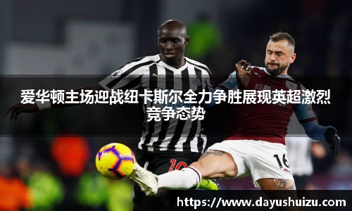 爱华顿主场迎战纽卡斯尔全力争胜展现英超激烈竞争态势