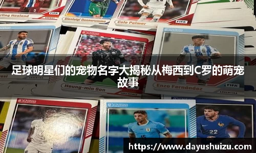 zoty中欧有限公司